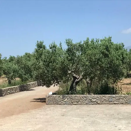 Tenuta Avolicino Santa Domenica Talao