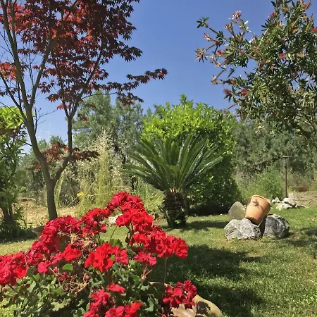 Tenuta Avolicino Santa Domenica Talao