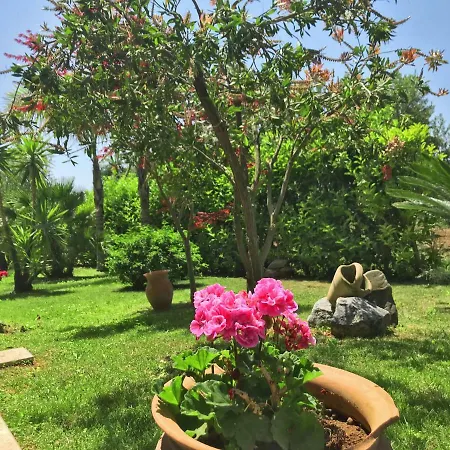 Vakantiehuis Tenuta Avolicino
